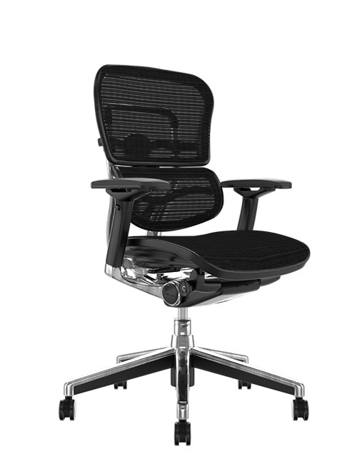 Ergohuman Office Chair